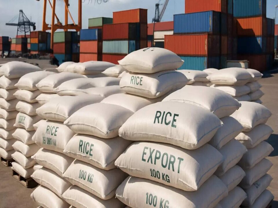 India Expands Rice Exports to the Philippines