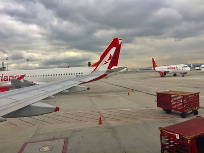 Avianca Flight Suspensions Disrupt Travel Across Latin America