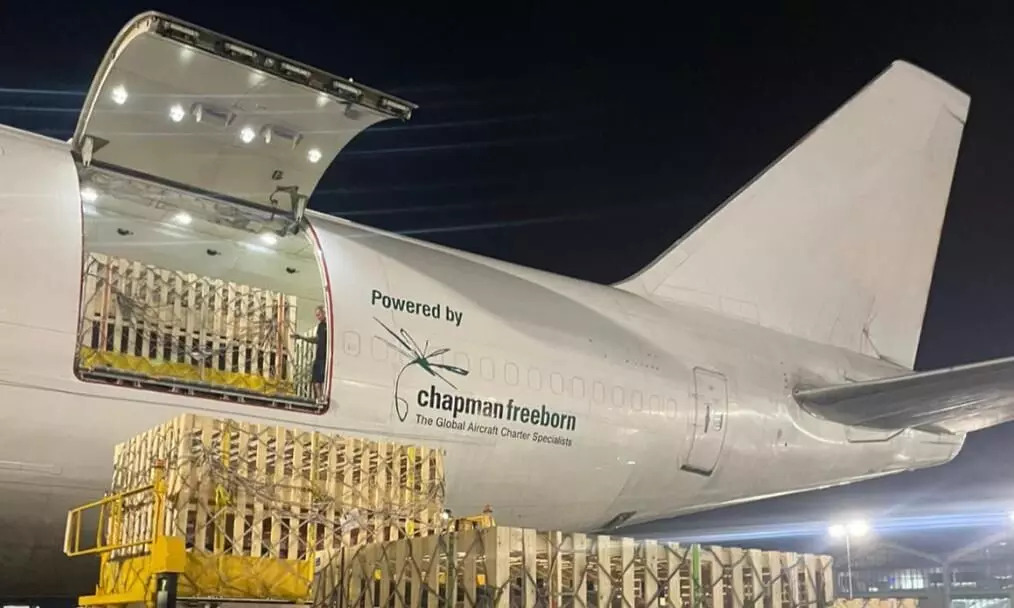 1,200 Breeding Pigs Transported to the Philippines by Intradco Global