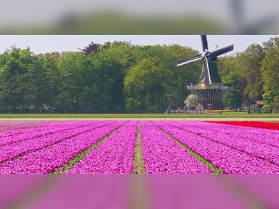 Amsterdam’s Massive Garden Showcases Over Seven Million Blooms