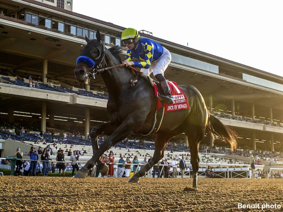Prince of Monaco Stallion Produces First In-Foal Mare
