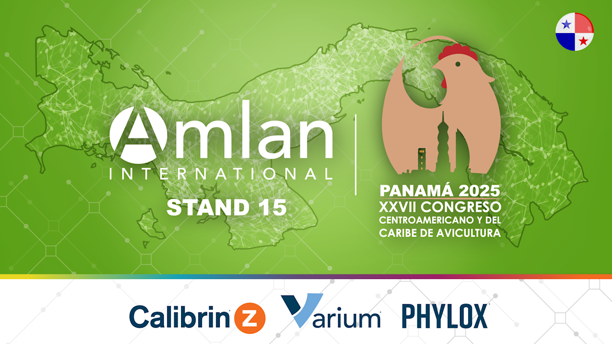 Amlan International Showcases Feed Innovations at Poultry Congress