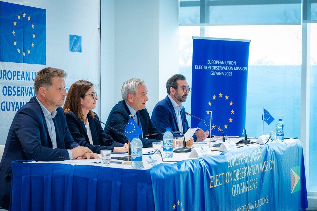 EU Observers Report Uneven Playing Field in Recent Elections