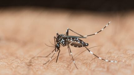 New Vaccine Vimkunya Debuts in UK