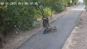 Tourist Steals Gutters and Scooters From Historic Australian Sites