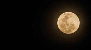 Lunar Eclipse Captivates Skies Over Amsterdam