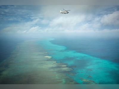 China Establishes Nature Reserve at Disputed Shoal