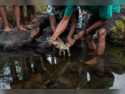 Indigenous Leaders Urge Protection of Philippine Crocodile