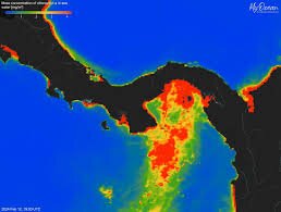 Panama’s Ocean Lifeline Disappears After Four Decades