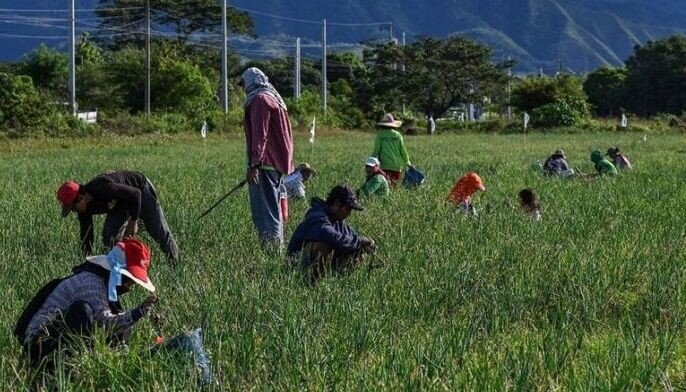 Philippines Seeks $153.9 Billion Agriculture Budget for 2026