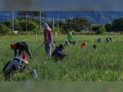 Philippines Seeks $153.9 Billion Agriculture Budget for 2026
