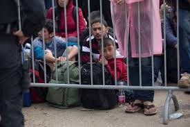Council of Europe Issues Warning on Migrant Deportations
