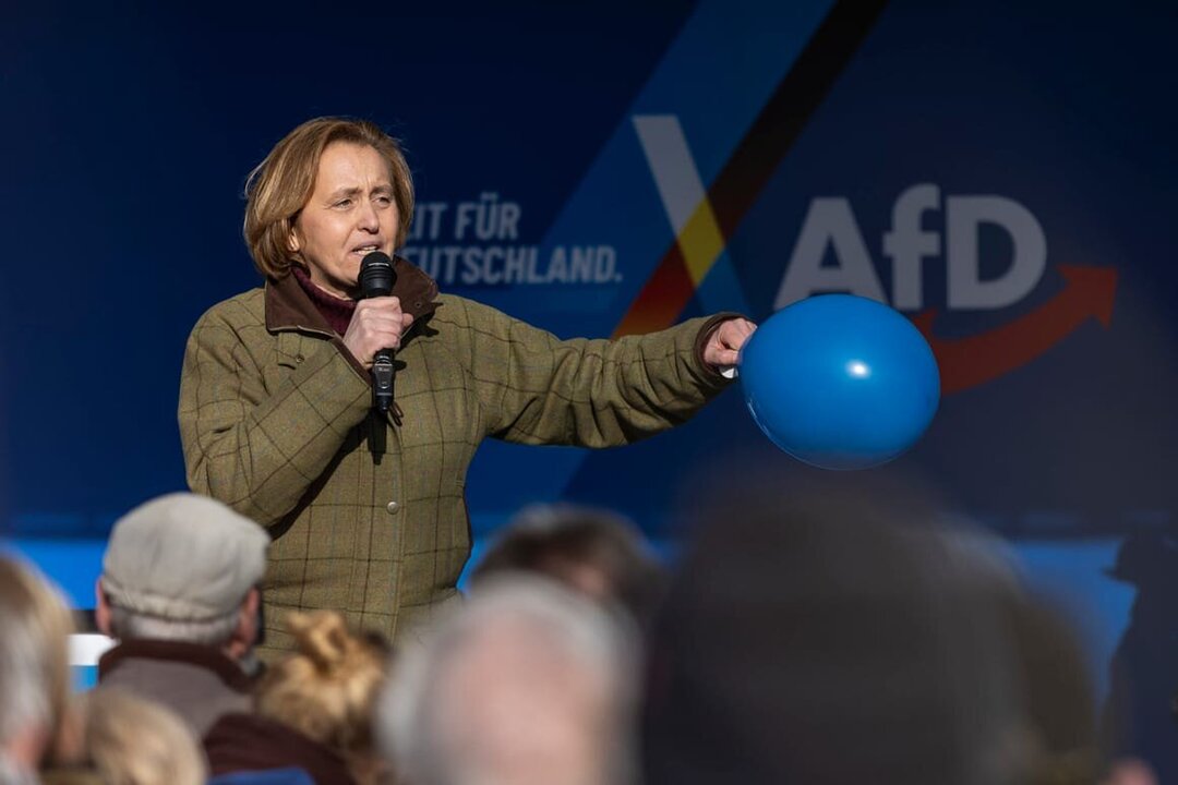 AfD Politician Makes Surprise Visit to White House