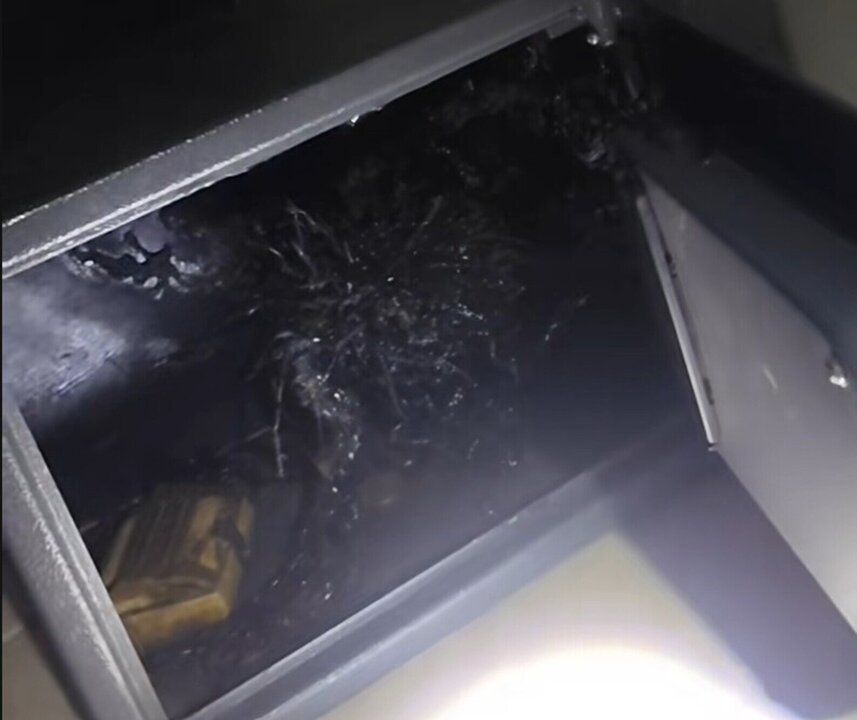Panama’s ‘Venom-Like Meteorite’ Video Debunked