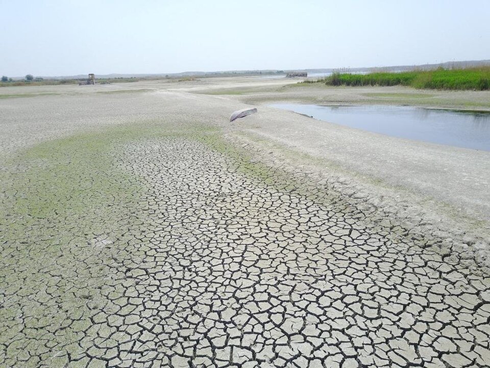 Severe Drought in Syria Pushes Millions to the Brink