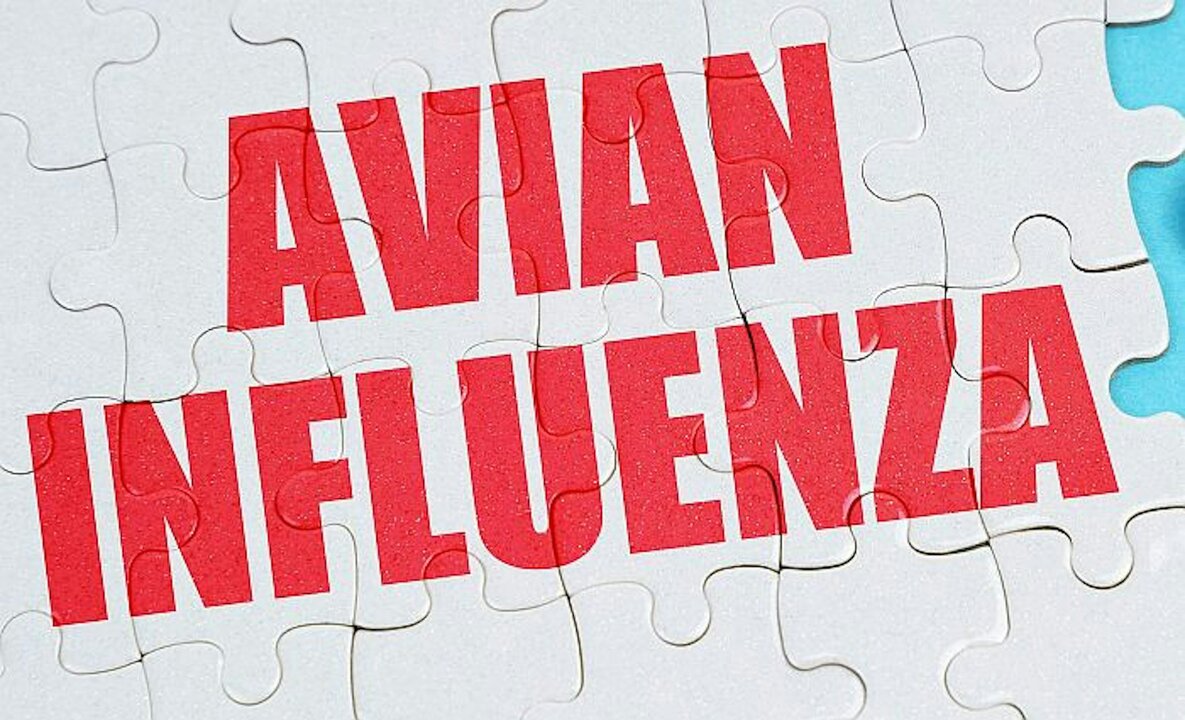 France Expands Vaccination Plan to Combat Avian Influenza