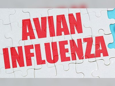 France Expands Vaccination Plan to Combat Avian Influenza