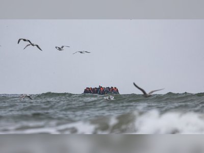 Asylum Seeker Wins Legal Bid to Delay Deportation to France