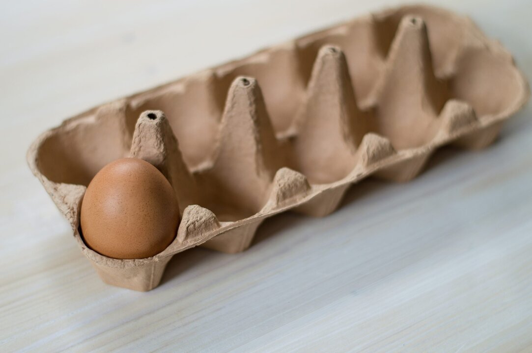 France Sees Soaring Egg Consumption Leading to Shortages