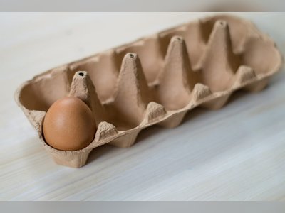 La France voit une consommation d'œufs en forte hausse entraînant des pénuries.