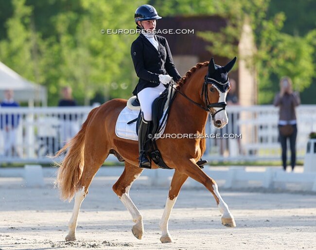 Belgian Pony Matteo Retained for National Team