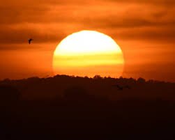 Unusual Antarctic Warming May Bring Heatwave to Australia’s South-East