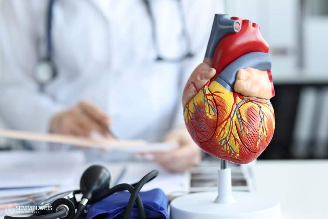EU Intensifies Fight Against Cardiovascular Disease