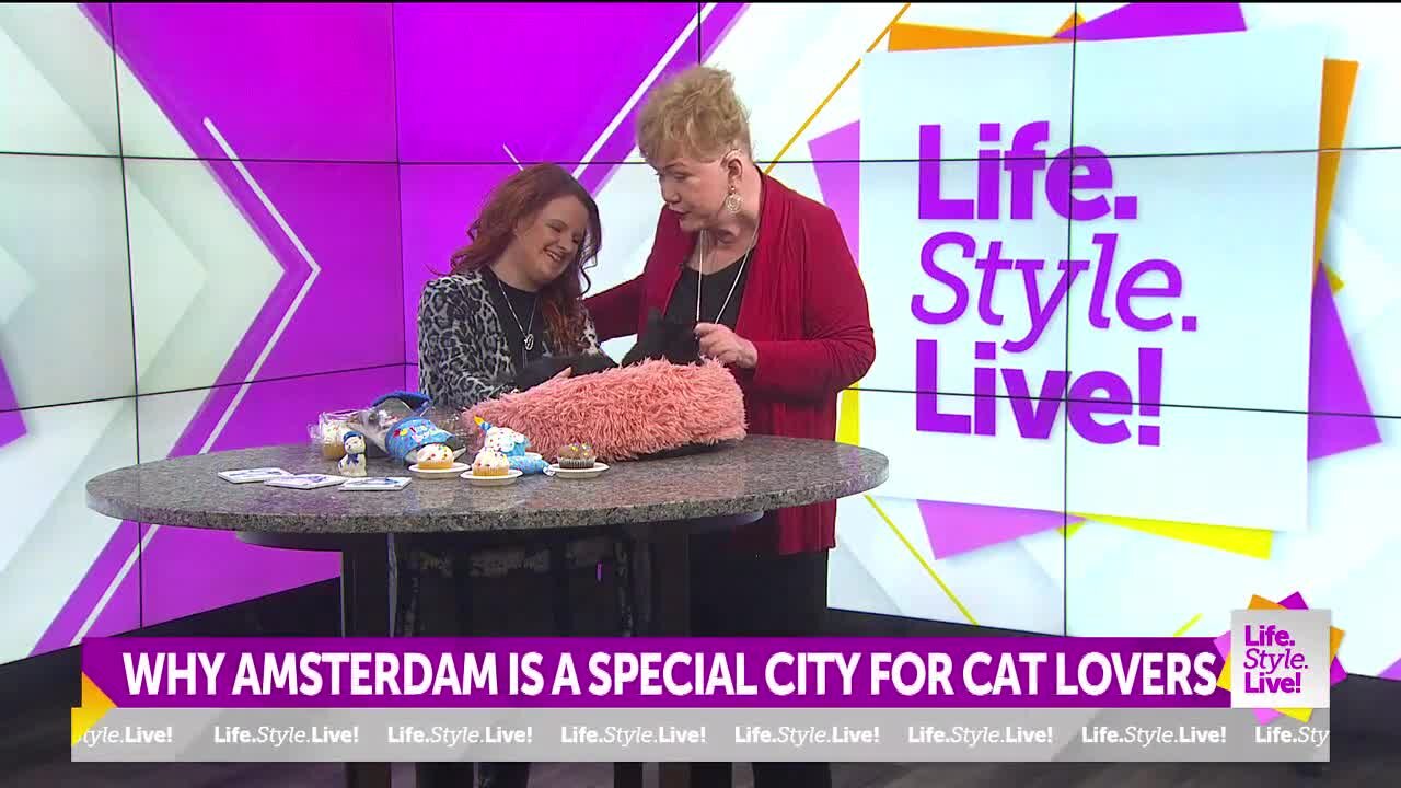 Feline Wonders Charm Visitors in Amsterdam Celebration