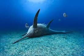 New Species of Ichthyosaur Unearthed in Germany