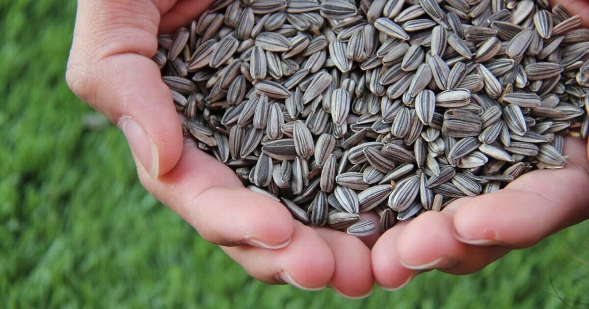 ADM Expands Regenerative Farming Program in Hungary
