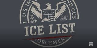 Irish Whistleblower Challenges U.S. Immigration Authority from Amsterdam