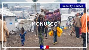 France Reaffirms Support for UN Mission in Congo