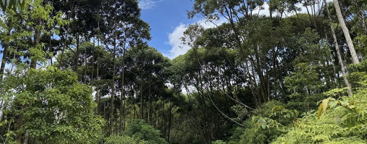 El Camino de Costa Rica Offers Adventurers a Unique Trek