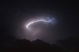 Lightning Strikes Found to Boost Growth of Panama’s Almendro Tree