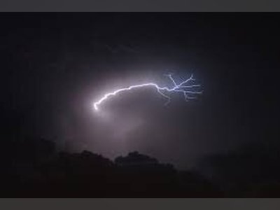 Lightning Strikes Found to Boost Growth of Panama’s Almendro Tree
