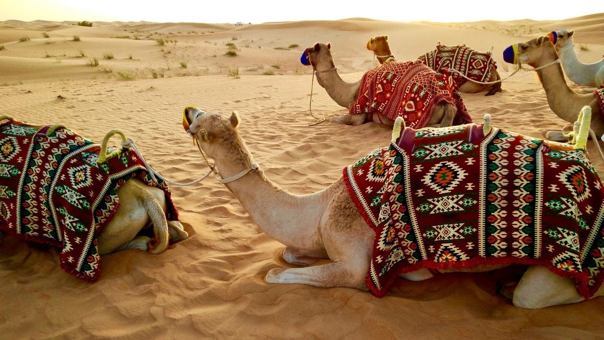 دبي تظهر كملاذ عالمي للمصرفيين المخضرمين