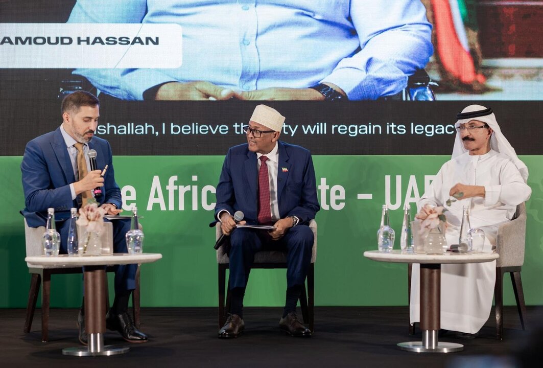 مشغل موانئ دبي يدعو إلى الاعتراف بصوماليلاند