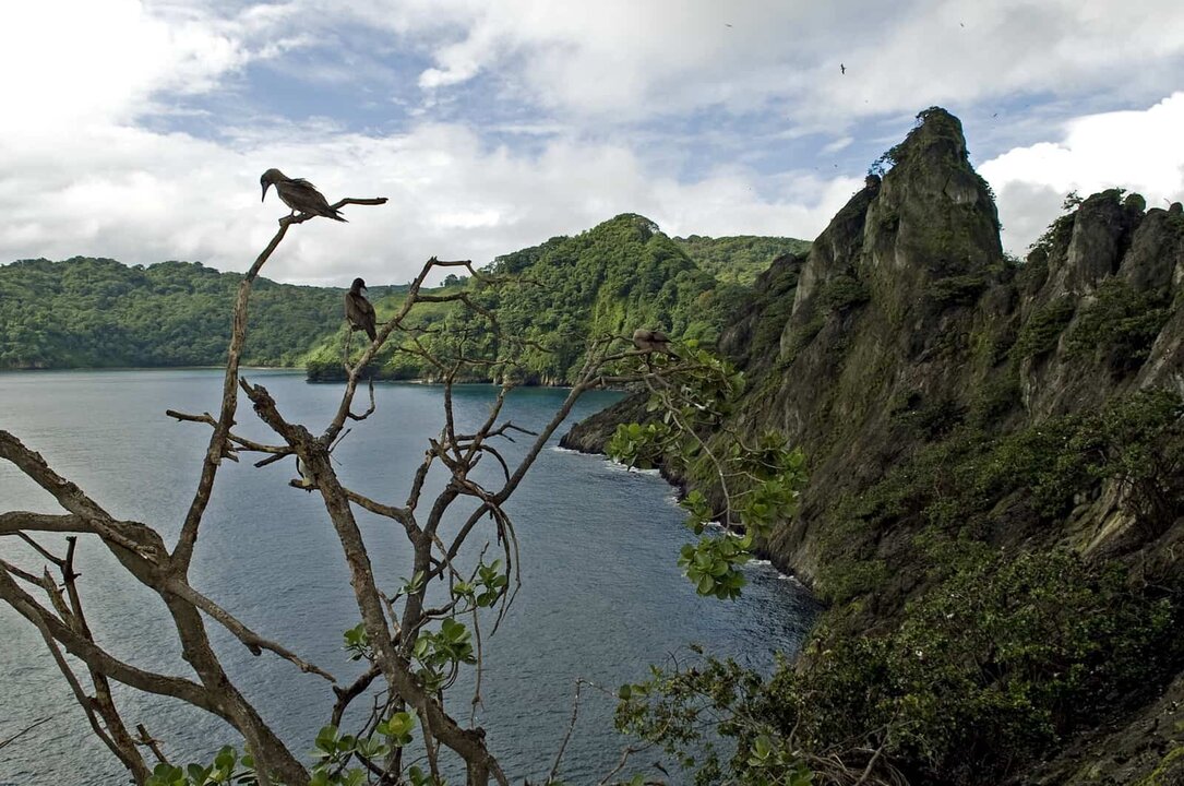 Costa Rican Ranger Rescued After Falling from Cliff on Cocos Island