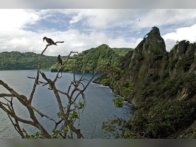 Costa Rican Ranger Rescued After Falling from Cliff on Cocos Island