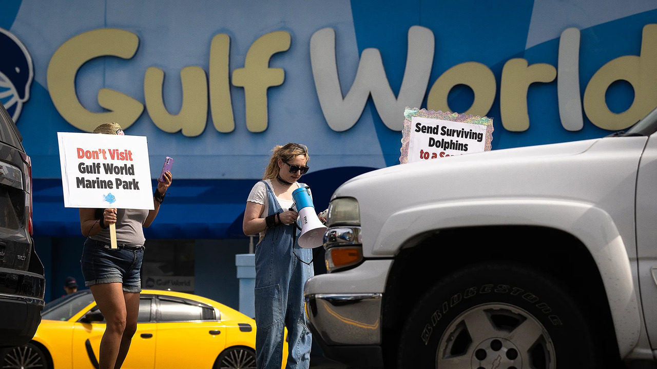 Gulf World Marine Park in Panama City Beach Up for Sale