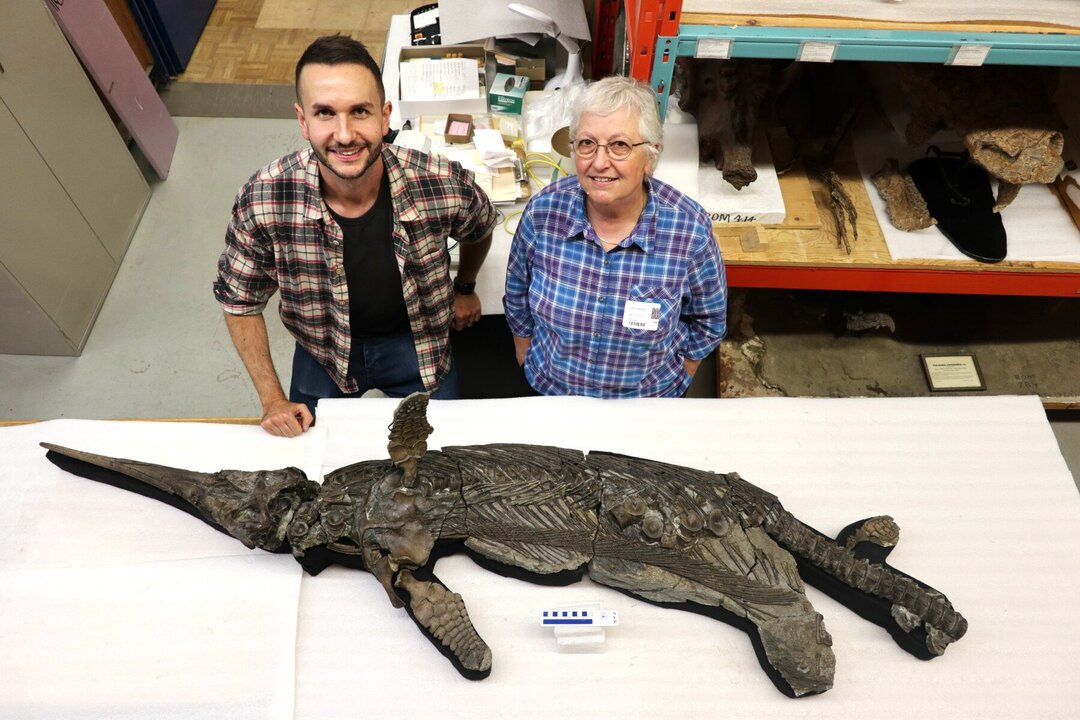 Rare ‘Sword Dragon’ Fossil Discovered on UK’s Jurassic Coast