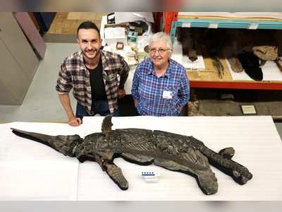 Rare ‘Sword Dragon’ Fossil Discovered on UK’s Jurassic Coast