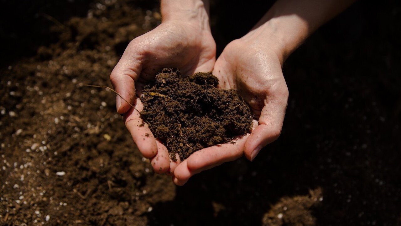 Study Finds Costa Rica’s Pesticide Use Damaging Soil Ecosystems