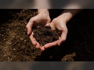 Study Finds Costa Rica’s Pesticide Use Damaging Soil Ecosystems