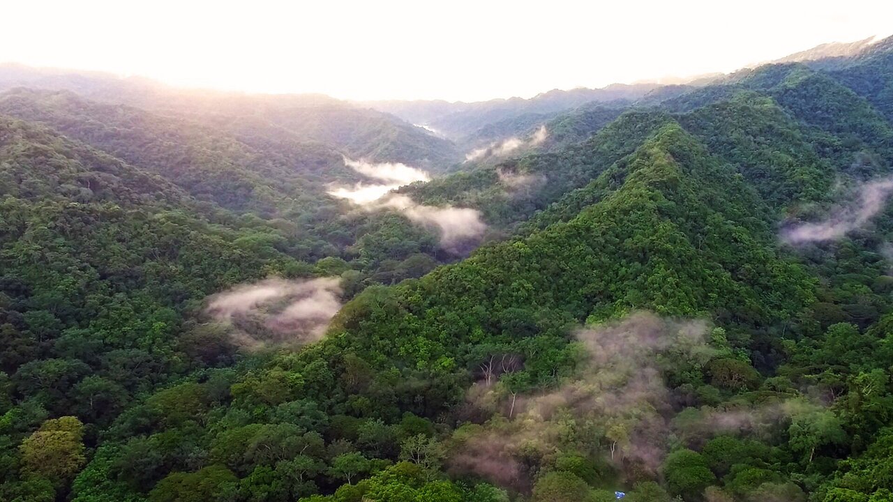 Costa Rica’s Reforestation Program Transforms Nicoya Peninsula