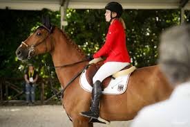 Show Jumping Star ‘Dubai du Cedre’ Sold to Saudi Arabia