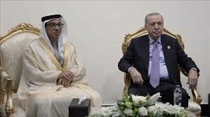 Turkish and UAE Leaders Discuss Gaza and Bilateral Relations in Cairo