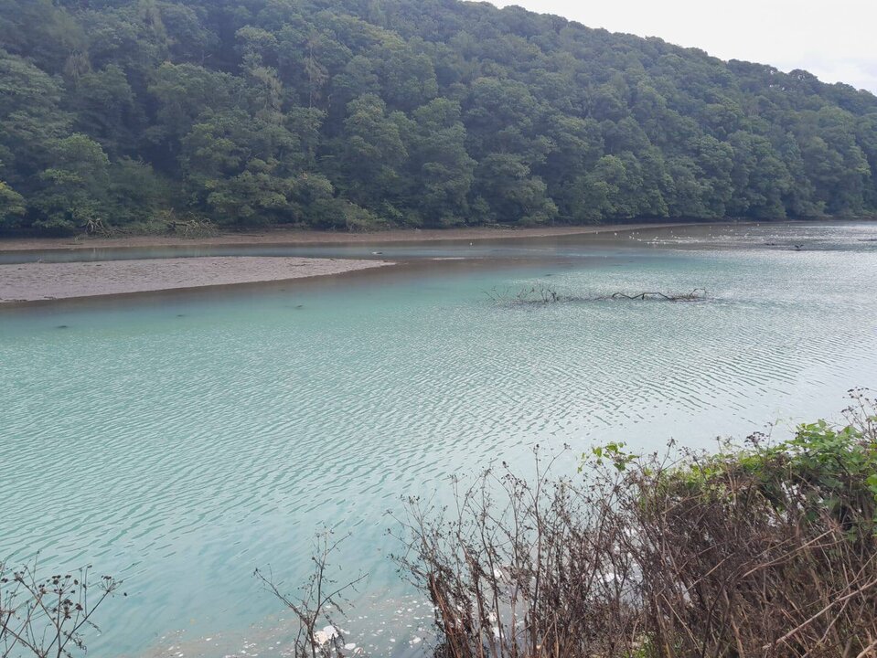 Half of Ireland’s Rivers and Lakes Found to Be in Poor Ecological Health