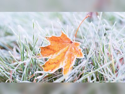 Western Washington Braces for First Frost Advisory of the Season