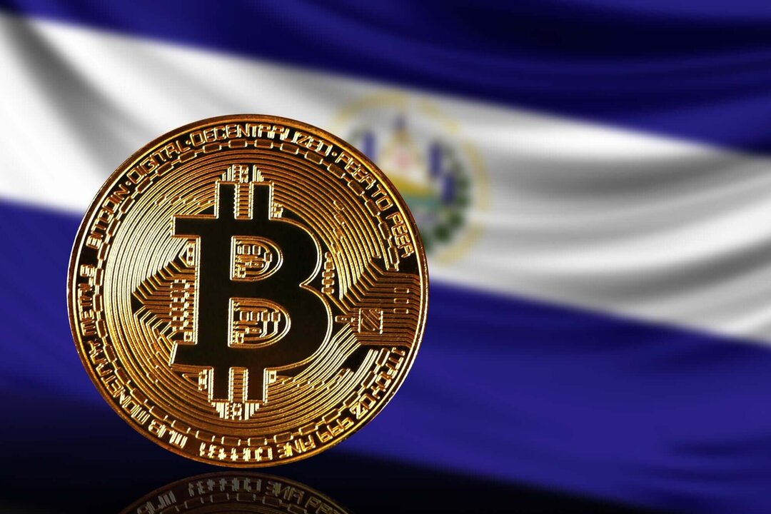 Stacy Herbert Sparks Bitcoin Enthusiasm in El Salvador